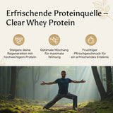 Clear Whey Protein - 500g Pulver