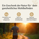 Schwarzkümmelöl aus Ägypten - Softgels
