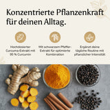 Curcuma (95% Curcumin) + Piperin - Kapseln