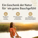 Mariendistel & Artischocke & Löwenzahn Komplex - Kapseln
