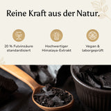 Shilajit Kapseln (20% Fulvinsäure)