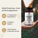Mariendistel & Artischocke & Löwenzahn Komplex - Kapseln
