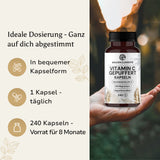 Gepuffertes Vitamin C 500mg + Magnesium - Kapseln