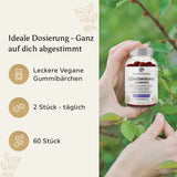 Löwenmähne - Gummies