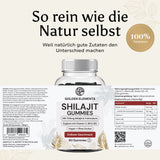 Premium Shilajit Gummies mit Fulvinsäure & Huminsäure