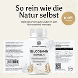 Gelenk Support Bundle