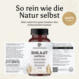 Shilajit Kapseln (20% Fulvinsäure)
