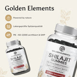 Premium Shilajit Gummies mit Fulvinsäure & Huminsäure