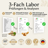Darstellung der dreifachen Laborprüfung der Golden Elements Multivitamin Gummies Kids
