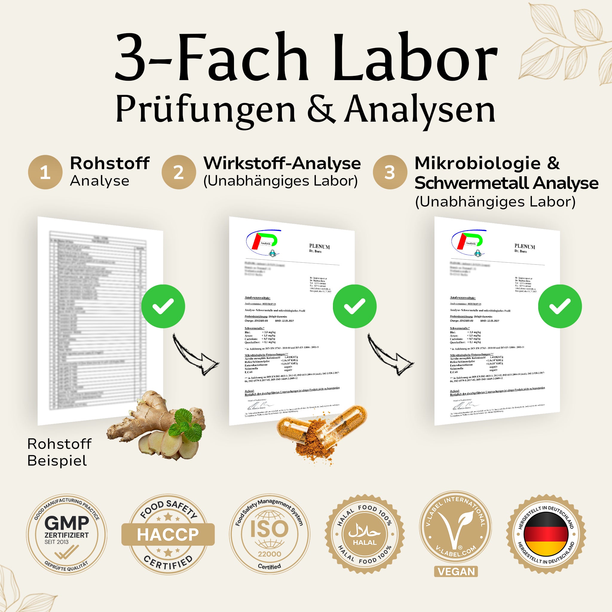 Golden Elements Natriumhydrogencarbonat Kapseln – 3-fach laborgeprüfte Qualität mit Analysezertifikaten und Reinheitsprüfung